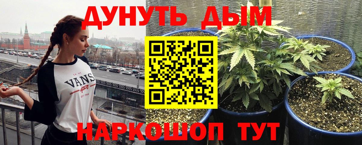 Шишки марихуана конопля Троицк